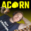 Acorn