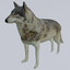 wolp