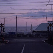 叙利亚在逃干饭王