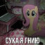 Сука Я Гнию