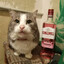 хуясос киньте пох's avatar