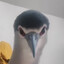 鸡TW_