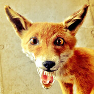 Sly Fox
