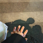 雪豹突击队阿刘