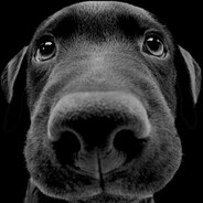 hdfyhiapqjdgaosvwodbhdiyexstou