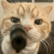 哈基米南北绿豆