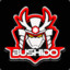 BuShiDo™|