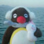 yungTrapperPingu