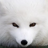 幺月