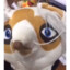 Ñifu
