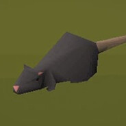 rat (factory new)