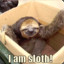 OSS | | Sloth