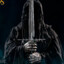 #1 Lord Of The Rings Fan