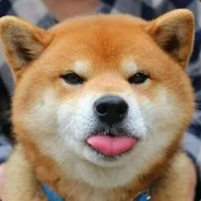 臭棋篓子丶夜殇