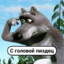 Timon479