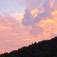 tangxikai_2025