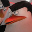 SkiPpeR