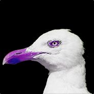 Mouettasse - steam id 76561197961439799