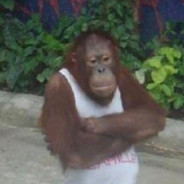 я не фашист нахуй