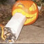 Levinson's avatar