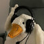 Mr.Goose