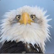 gg csgoatse.com