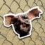 Singe-Rat