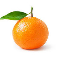 Mandarine guy