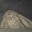 Moth