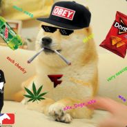 Doge The Dog