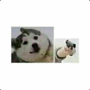 我跟泰迪上过床LL