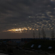 𝑴𝑎𝑛𝑔𝑜...