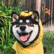 晴天的晴不是眼睛的睛