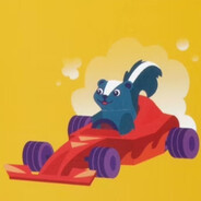 TN | SKUNK DRIVING A RACECAR