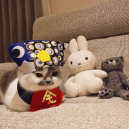 Игорёк