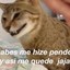 Me robas el kills&quot; fedeOoohdp