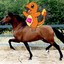 Charmander a caballo