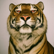 ๖ۣۜZΞUS༻🔫ᶠᵃᵏᵉ