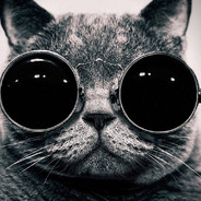 ♞God Moves↣♚♚♚