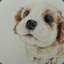whitidog