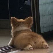 翻斗花园开银趴要干就