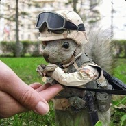 Capt S.Quirrel