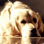 可爱迷人反派角色