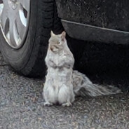Spink's avatar