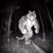 双非直达酒吧舞