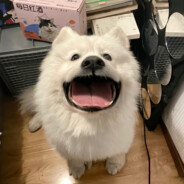 奥林匹斯探店三人128