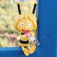 ДВЕНАДЦАТЬ ТАНГО,