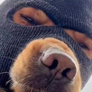 分手在起风这个季节