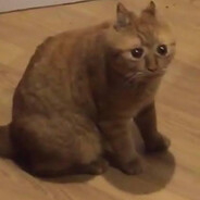 jansu
