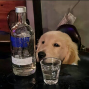 满山猴腚我最红